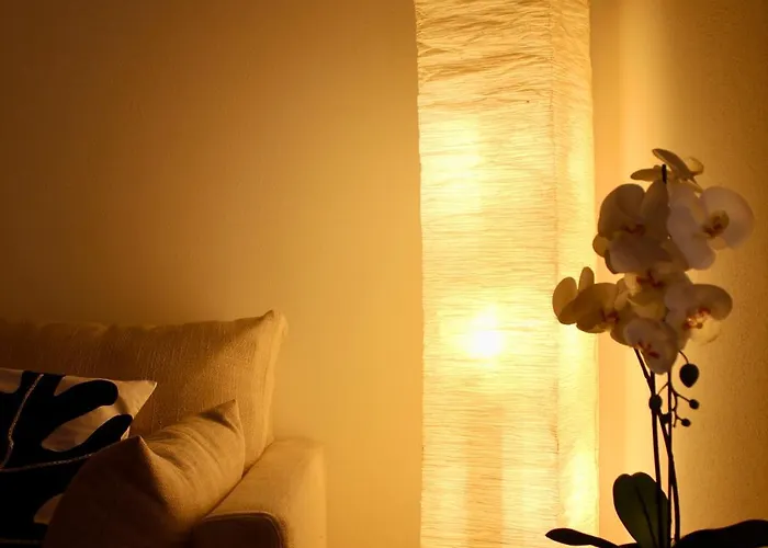 Apartment Dragonetti Luxury House